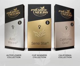 Californian Gold Feminised 3 pack